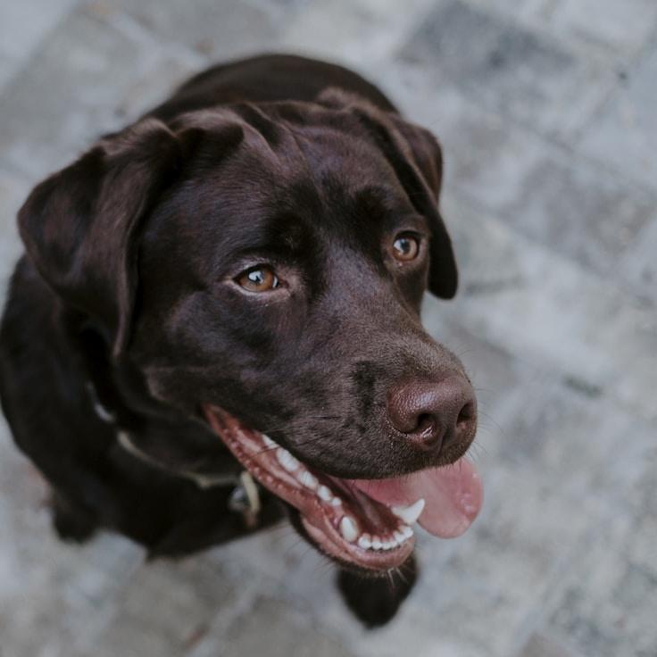 Landscape day trip near Lisbon, Portugal