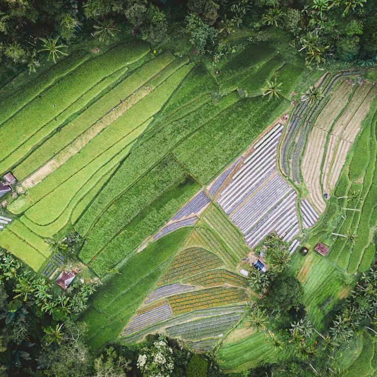 Entertainment zone at night in Portugal